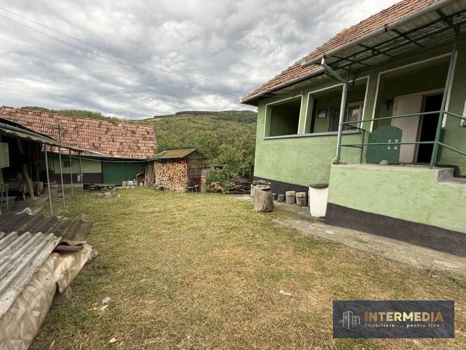 Casă în Cricău cu 1.375 mp teren, anexe, utilități, vie și livadă, fotografia 11
