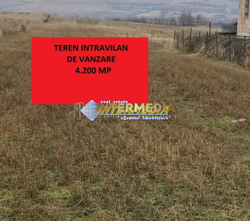 Teren intravilan 4200 mp de vanzare Alba Micesti cu utiliati langa, fotografia 1