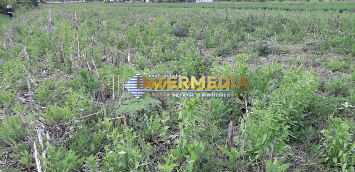Teren Intravilan de Vanzare 940 mp cu utilitati, fotografia 3