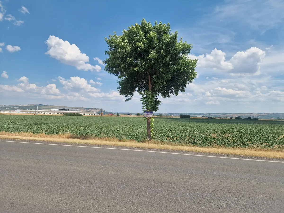 Teren agricol, la șosea, 9100 mp, 40 ml deschidere, fotografia 4