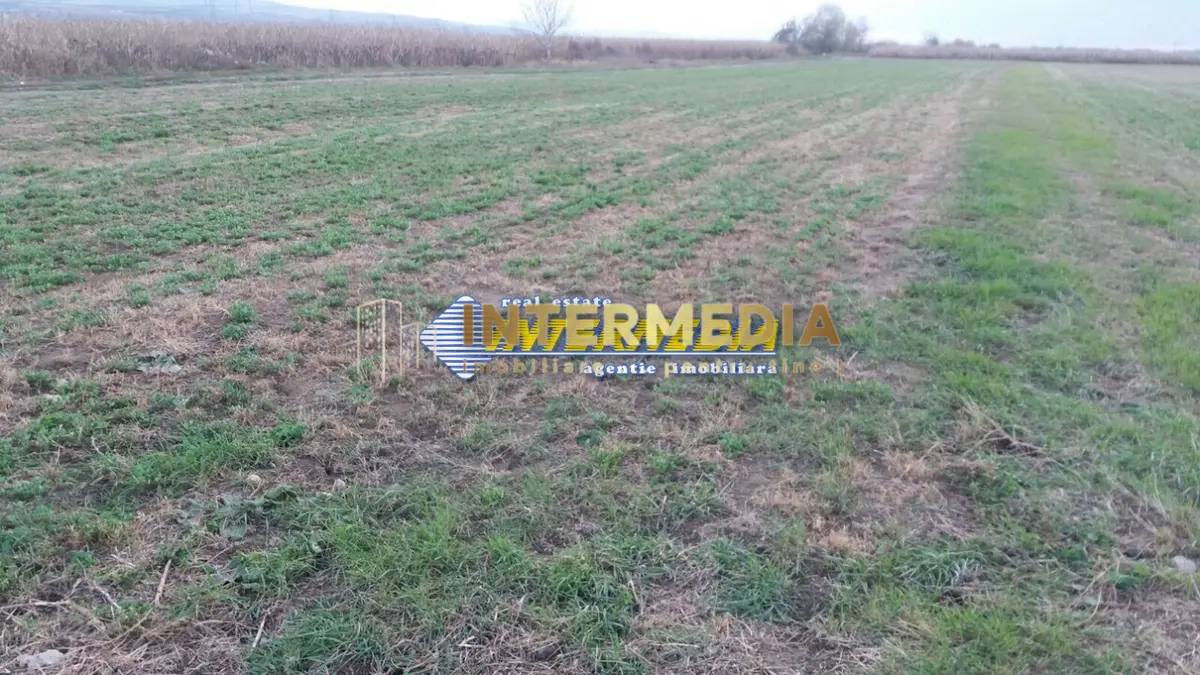 Teren Intravilan 5000 mp Zona Soseaua de Centura, Alba Iulia, fotografia 1