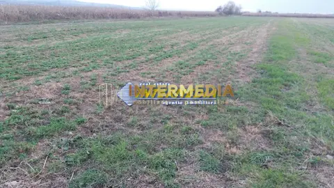 Teren Intravilan 5000 mp Zona Soseaua de Centura, Alba Iulia