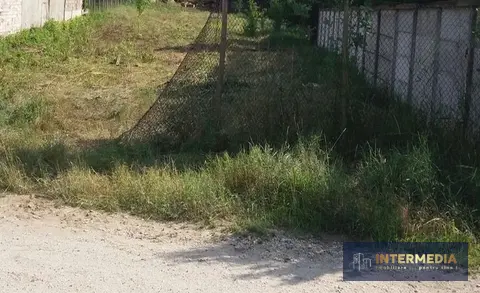 Fotografia 7