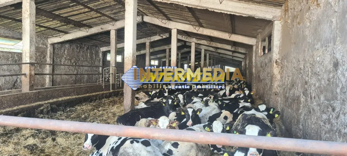 Ferma de vanzare in apropiere de Alba Iulia, fotografia 11