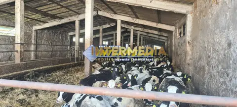 Fotografia 11