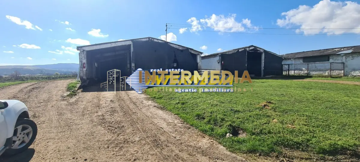 Ferma de vanzare in apropiere de Alba Iulia, fotografia 8