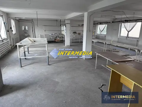 Fotografia 5