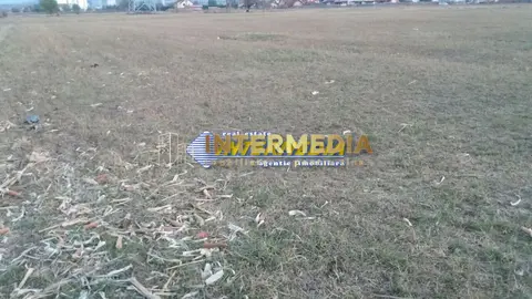 Teren intravilan de vanzare zona Ampoi 3 de 27500mp