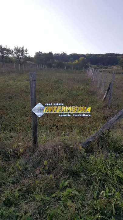 Fotografia 6