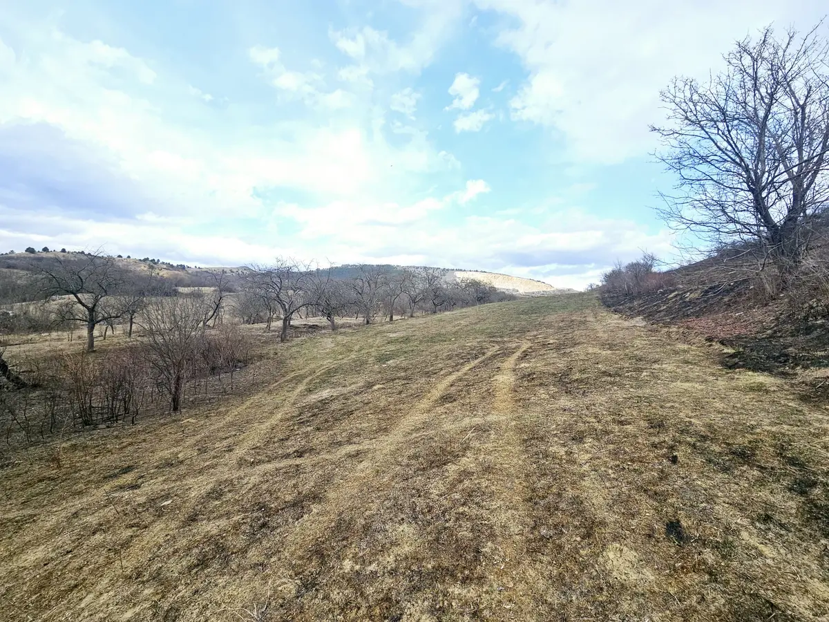 Teren intravilan de vânzare, 12211 mp, Geoagiu de Sus, fotografia 1