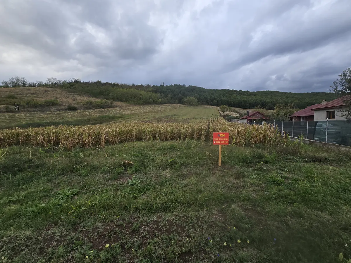 Teren intravilan de 5.638 mp în Hapria, la drumul principal, fotografia 1