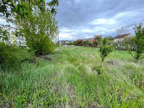 Fotografia 7