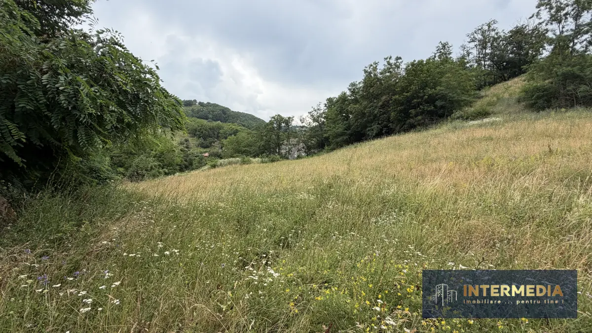 Teren intravilan 1257 mp la liziera pădurii, Meteș, la 15 km de Alba Iulia, fotografia 5