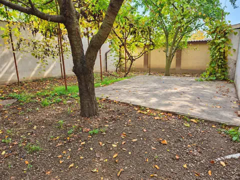 Fotografia 3