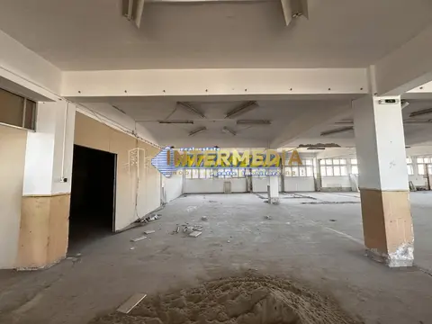 Fotografia 7