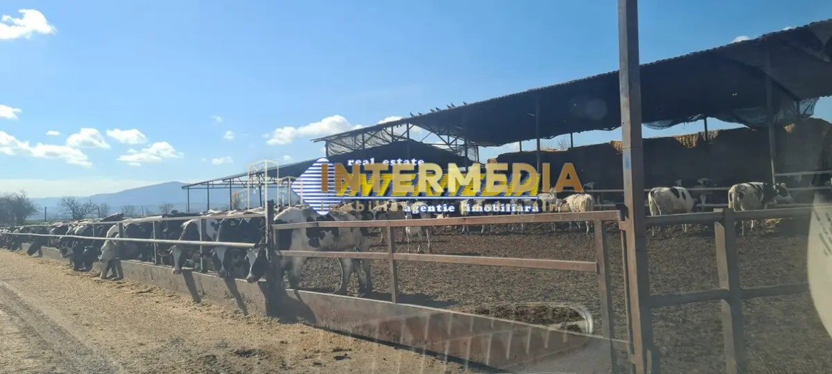 Ferma de vanzare in apropiere de Alba Iulia, fotografia 2