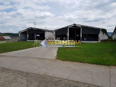 Fotografia 6