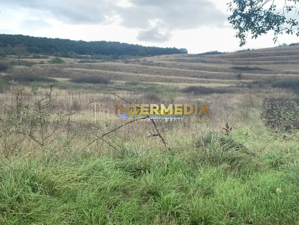 Teren intravilan de vanzare 1248 mp d=15 mTeleac cu utilitati panorama deosebita, fotografia 1