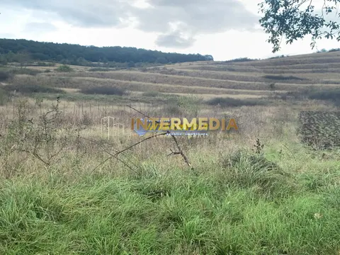 Teren intravilan de vanzare 1248 mp d=15 mTeleac cu utilitati panorama deosebita