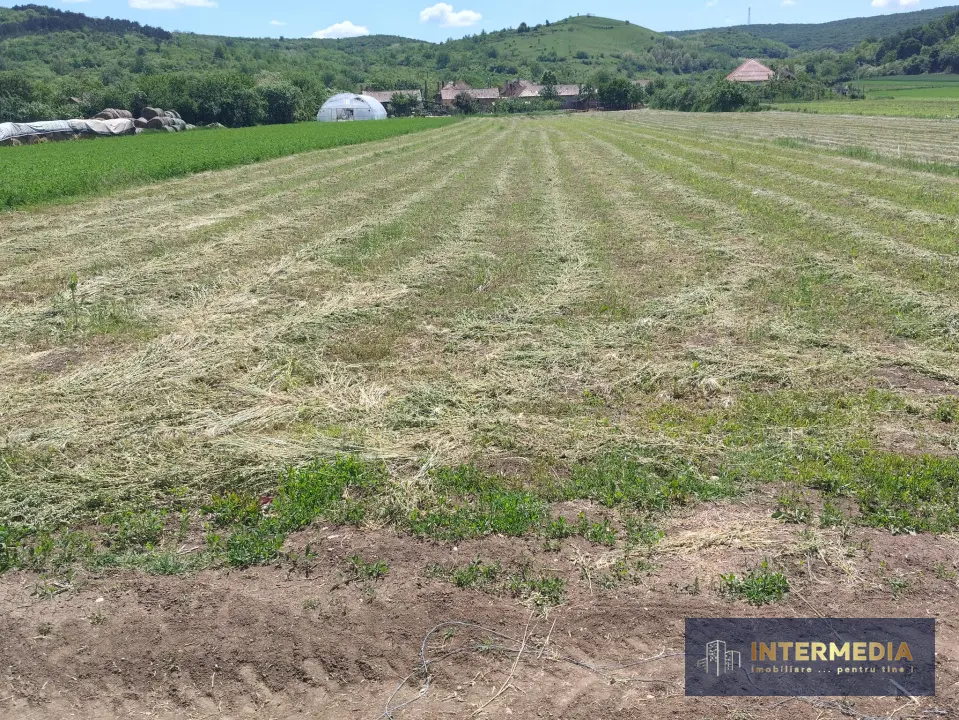 Teren intravilan de 3024 mp, cu deschidere la drum de 18 m, în Totoi, fotografia 2