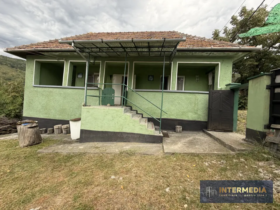 Casă în Cricău cu 1.375 mp teren, anexe, utilități, vie și livadă, fotografia 1