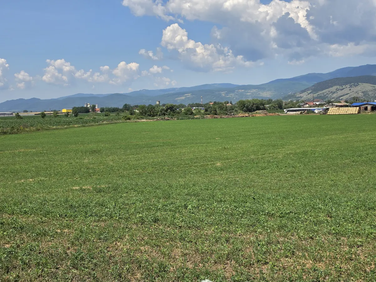 Teren intravilan industrial, 21.300 mp, deschidere 77 m, Vințu de Jos, fotografia 5