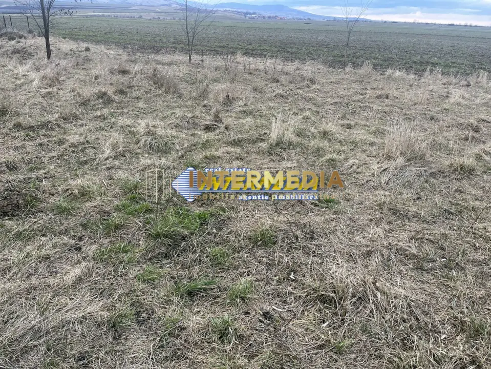 TEREN INTRAVILAN, 800 MP, IGHIU, LATIME 29 ML, IDEAL CASA SAU CABANA, fotografia 4