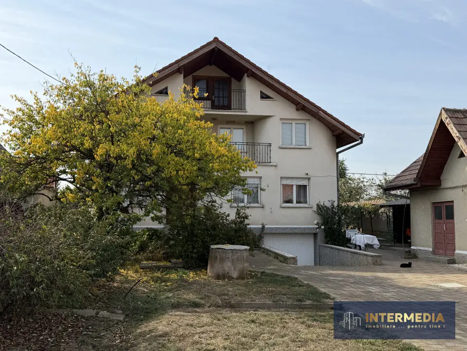 Casă D+P+E+M în Vințu de Jos, teren de 4.100 mp, intravilan și extravilan, utilități, fotografia 3
