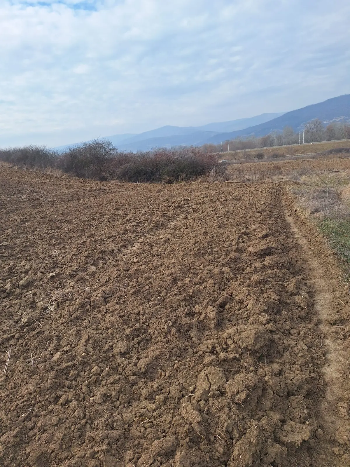 Teren extravilan agricol, 15800 mp, deschidere 45 ml, Tărtăria, fotografia 3