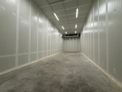 Fotografia 5