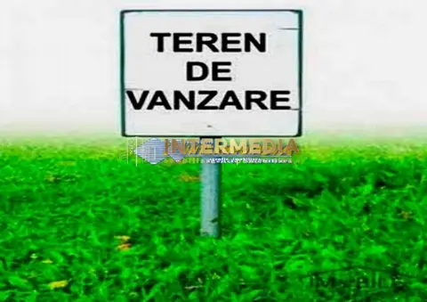 Teren intravilan 9800 mp deschidere de 64 ml in zona Alba Micesti