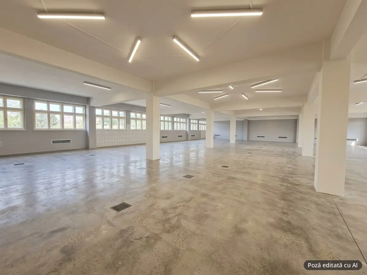 Spațiu industrial frigorific cu atmosferă controlată, 1200 mp, teren 6000 mp, Sebeș, fotografia 14