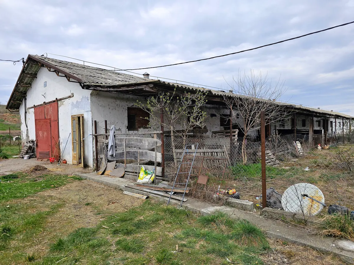 Două hale pentru depozitare sau producție, teren 6100 mp, Lunca Mureșului, fotografia 5