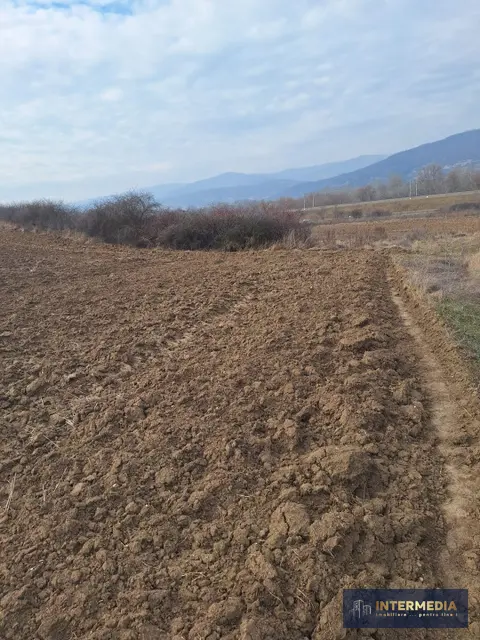 Teren extravilan de vanzare in suprafata de 15800 mp in Salistea, judet Alba