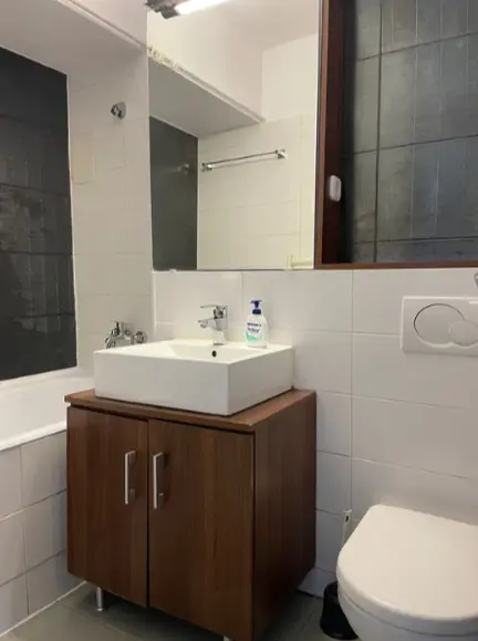 Apartament cu 1 cameră de vânzare, zona Centru (ultracentral), Alba Iulia, fotografia 5