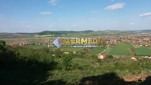 Teren intravilan de vanzare 4000 mp zona Alba Micesti