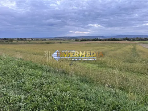 Fotografia 7