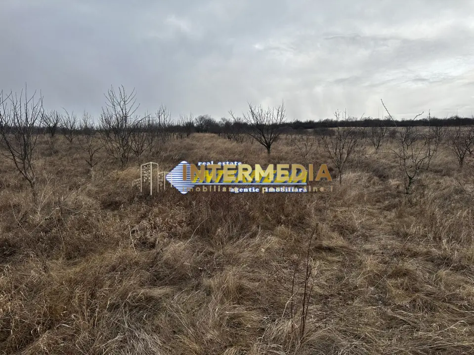 Teren extravilan de vanzare in suprafata de 80000 mp cu livada de pomi fructiferi, fotografia 8