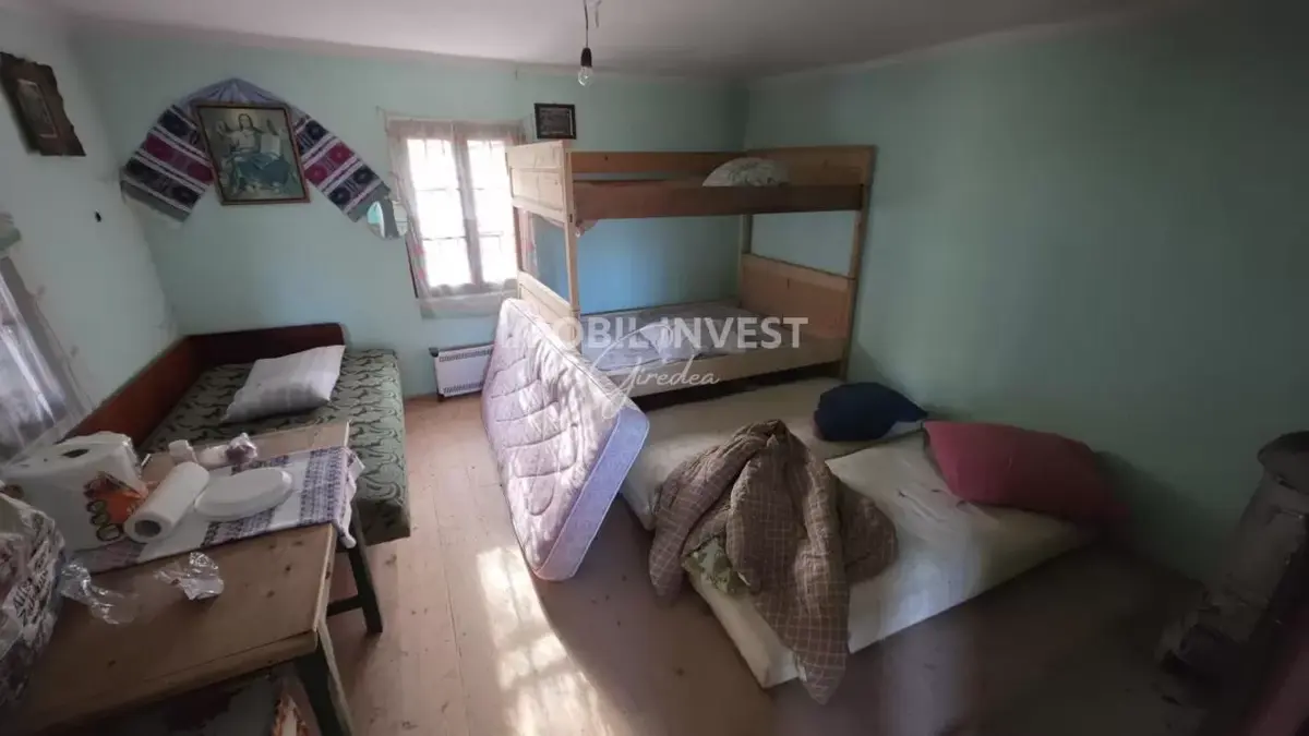 Proprietate cu teren de 17.000 mp in Necrilesti ( Intregalde), curent, fotografia 3