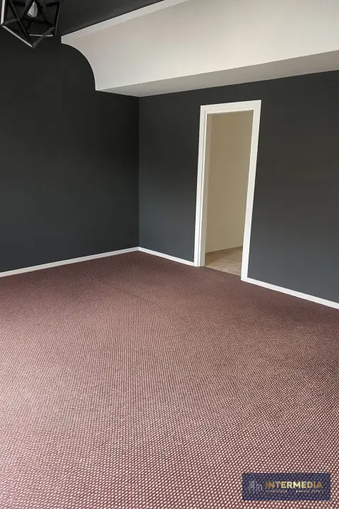 Spatiu Comercial 206 mp. Vanzare CETATE Bulevard Parcare Finisat Utilat complet, fotografia 9
