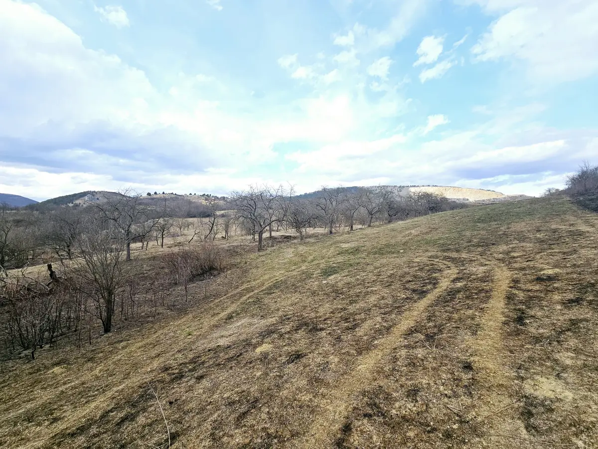 Teren intravilan de vânzare, 12211 mp, Geoagiu de Sus, fotografia 5
