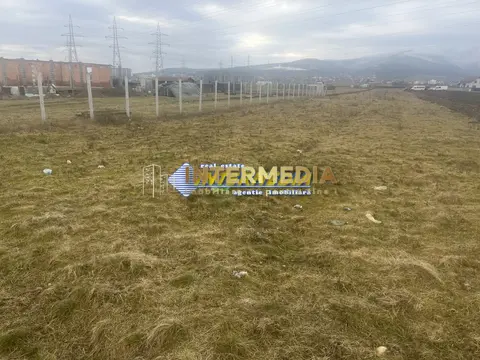 Fotografia 5
