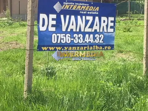 Fotografia 4