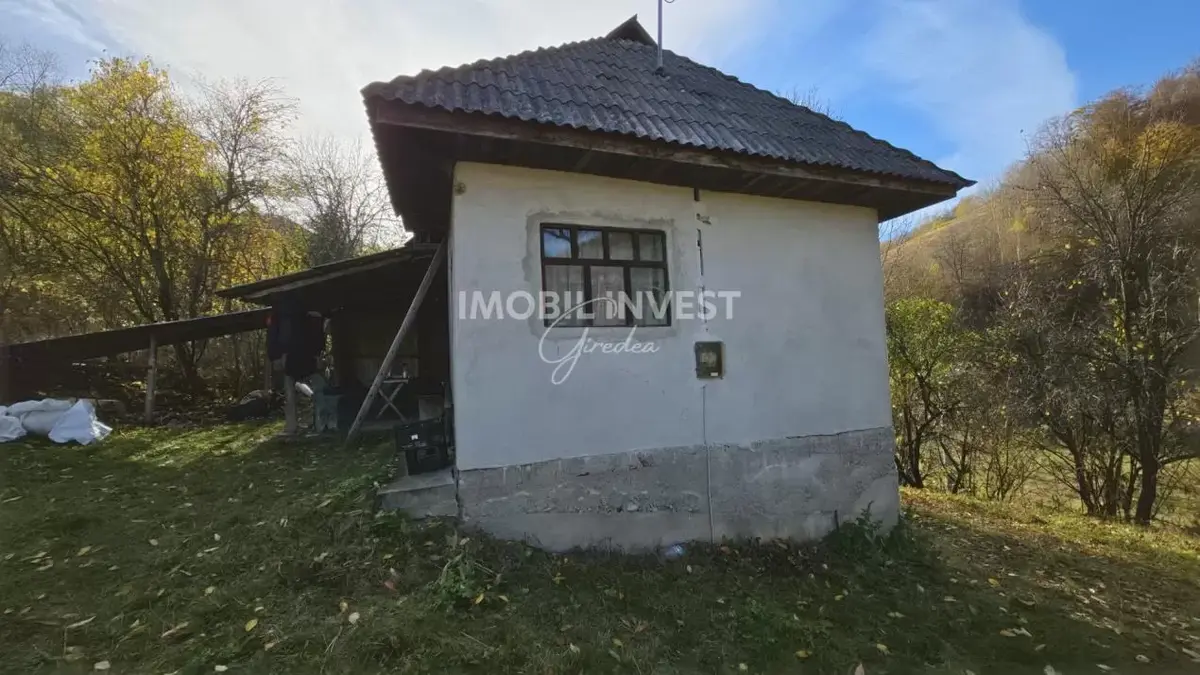 Proprietate cu teren de 17.000 mp in Necrilesti ( Intregalde), curent, fotografia 2
