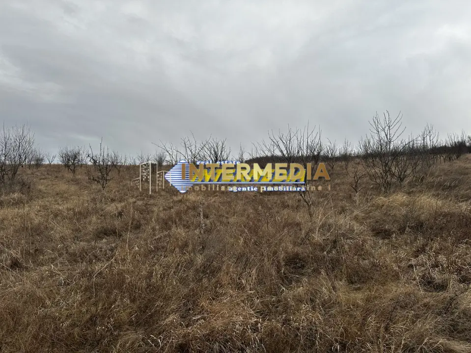 Teren extravilan de vanzare in suprafata de 80000 mp cu livada de pomi fructiferi, fotografia 6