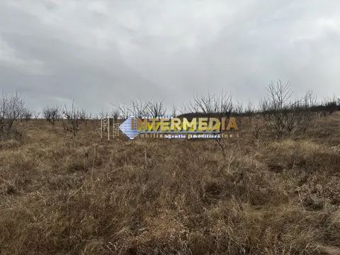 Fotografia 6