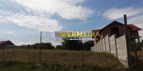 Fotografia 5