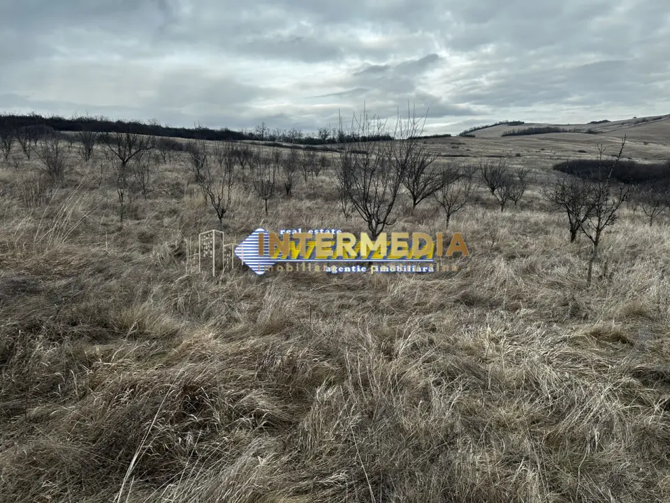 Teren extravilan de vanzare in suprafata de 80000 mp cu livada de pomi fructiferi, fotografia 2