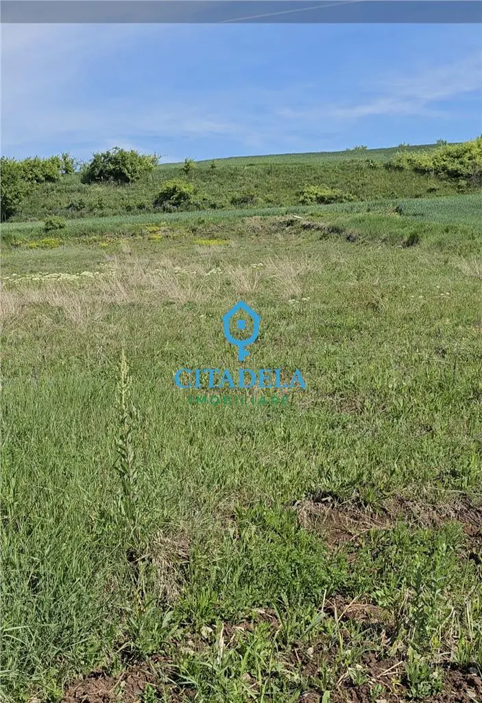 Teren intravilan de 827 mp cu panoramă în Teleac, comuna Ciugud, fotografia 3