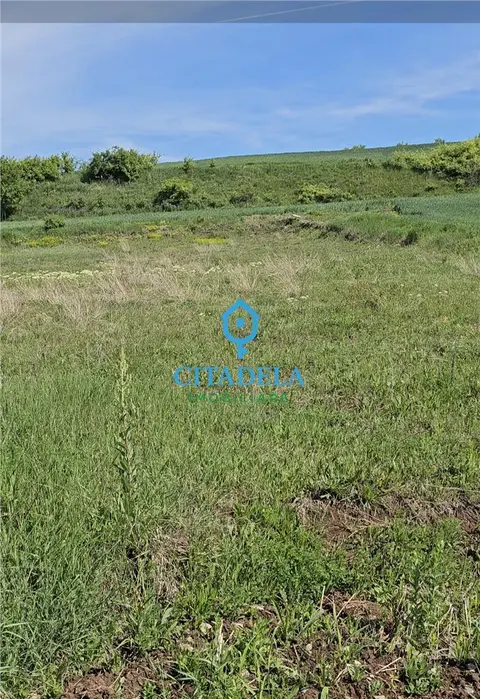 Fotografia 3